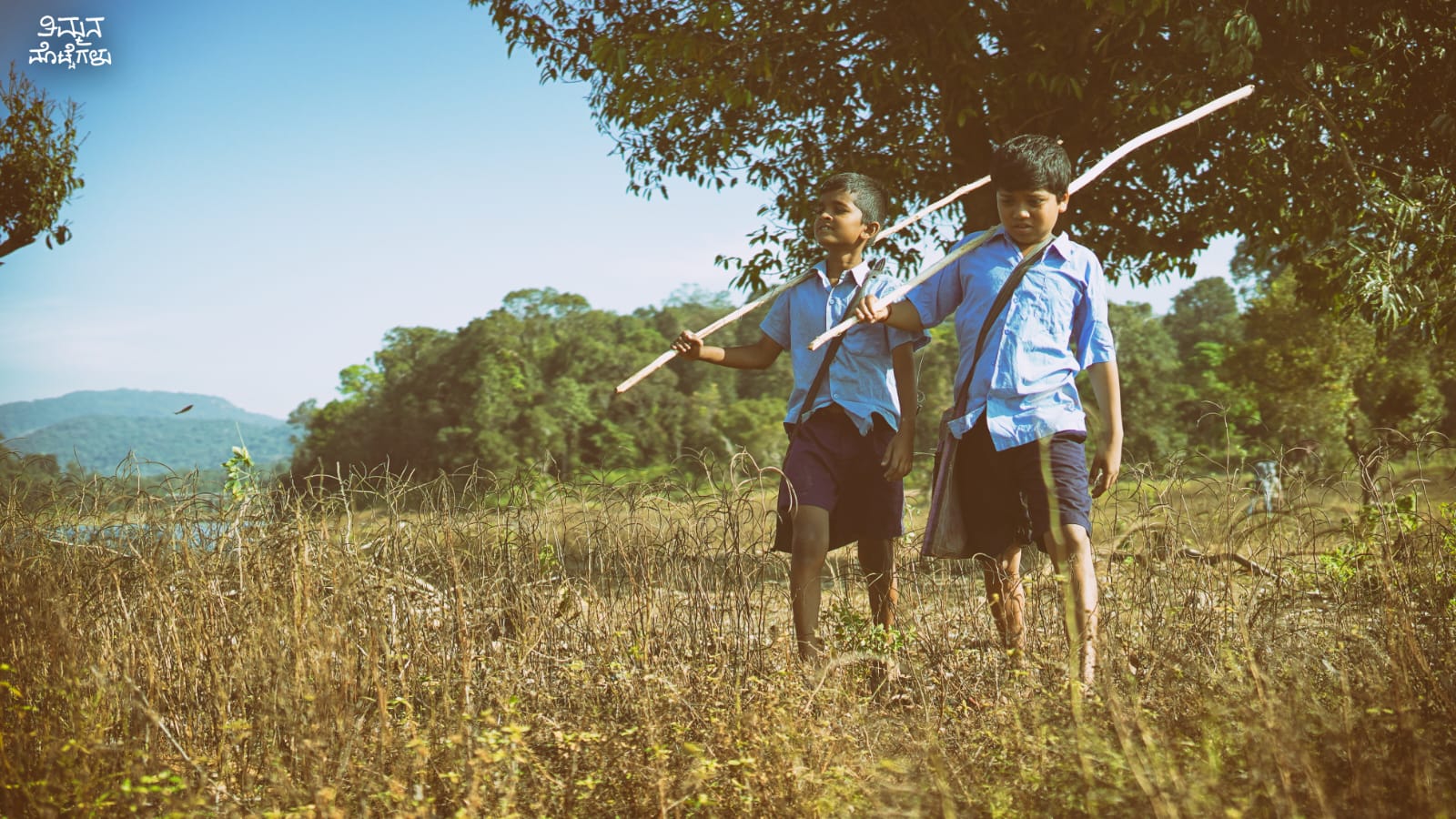 ತಿಮ್ಮನ ಮೊಟ್ಟೆಗಳು