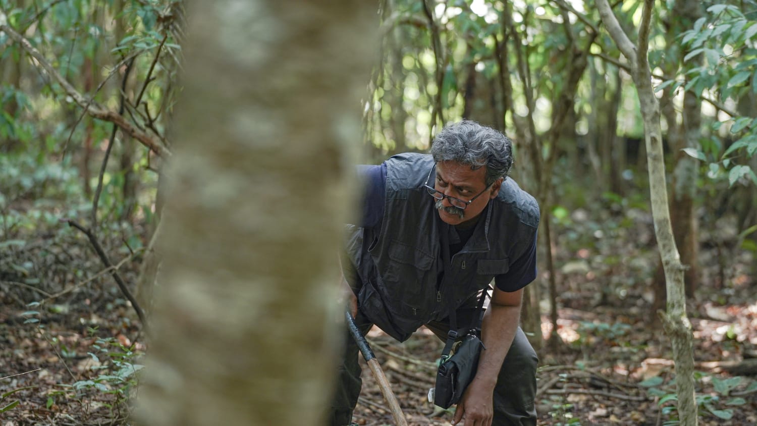 ತಿಮ್ಮನ ಮೊಟ್ಟೆಗಳು