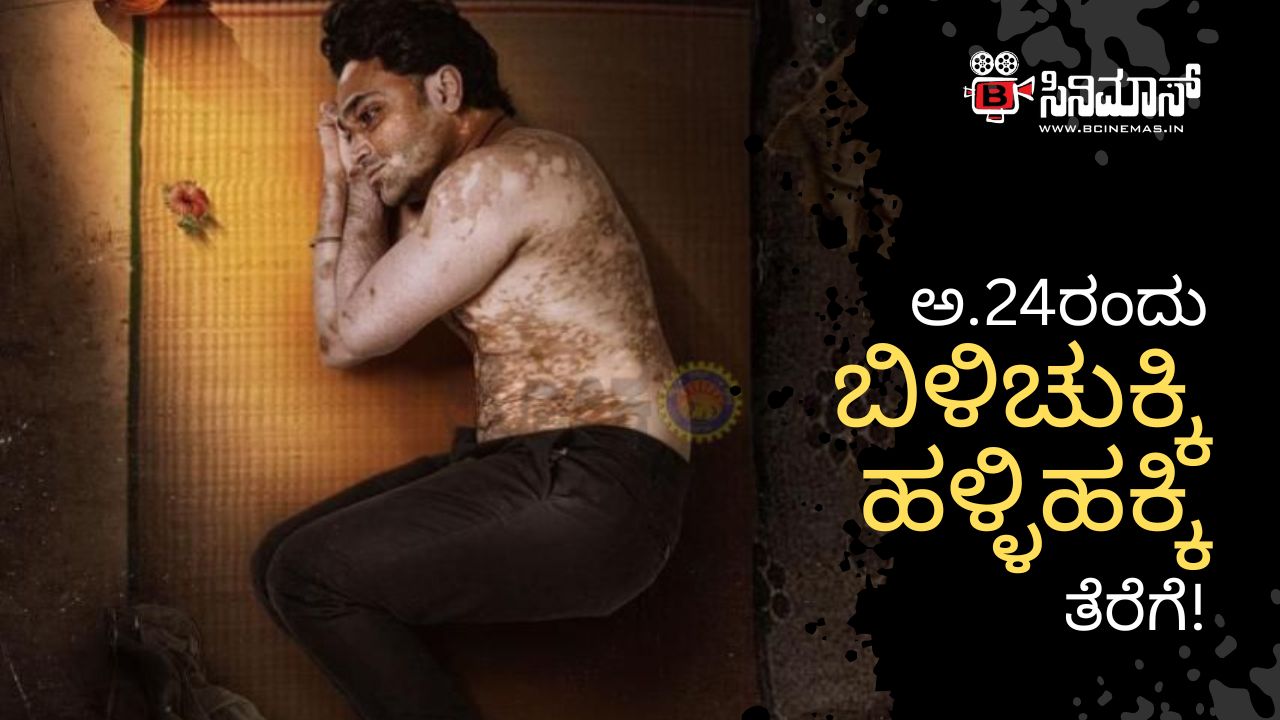 ಬಿಳಿಚುಕ್ಕಿ ಹಳ್ಳಿಹಕ್ಕಿ