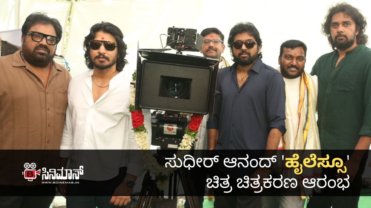 ಹೈಲೆಸ್ಸೂ