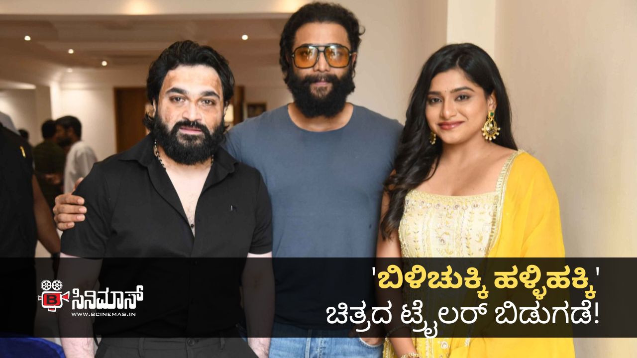 ಬಿಳಿಚುಕ್ಕಿ ಹಳ್ಳಿಹಕ್ಕಿ