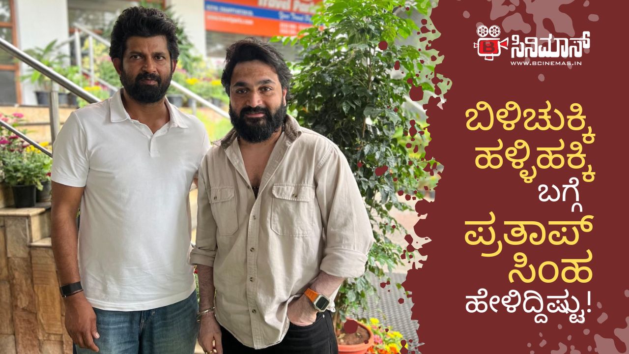 ಬಿಳಿಚುಕ್ಕಿ ಹಳ್ಳಿಹಕ್ಕಿ